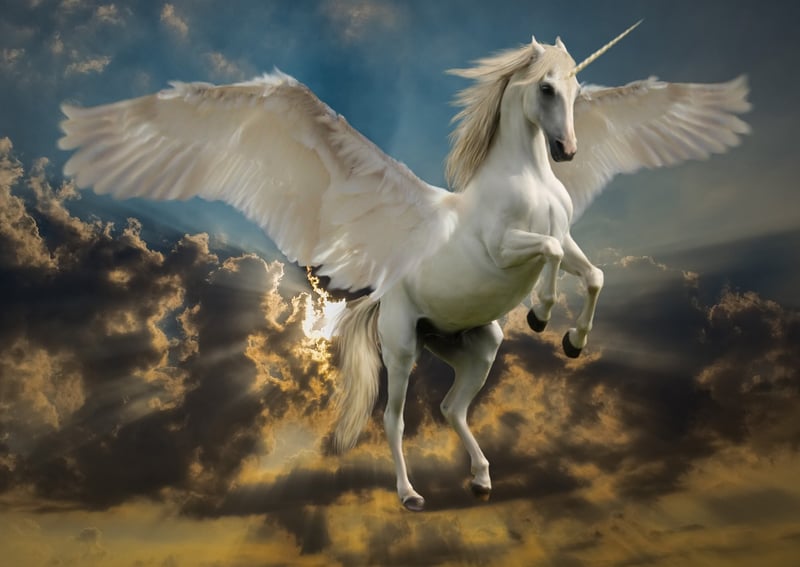 Magical Creatures
