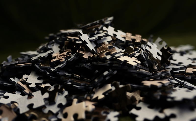 Puzzle Expeditions